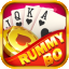 rummy star icon