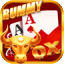 rummy paisa apk